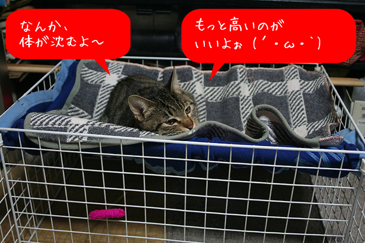 http://zun.sub.jp/changming/blog/images/20141018-2.jpg