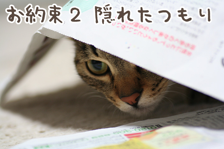 http://zun.sub.jp/changming/blog/images/20150909-4.jpg